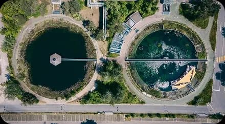 Proin metus et sed venenatis